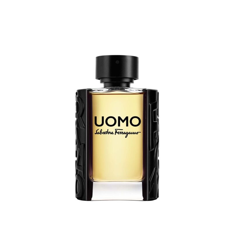 FERRAGAMO UOMO EDT 100ML 1